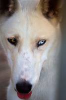 Astrid USAI - Donatella